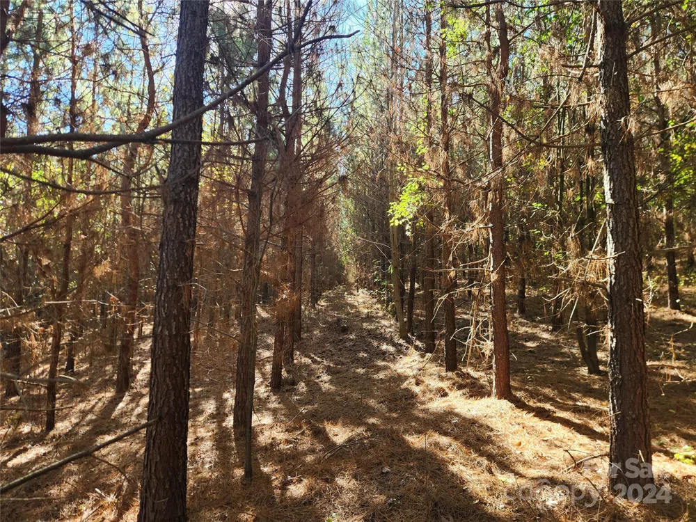 451 Low Bridge Road Forest City, NC 28043