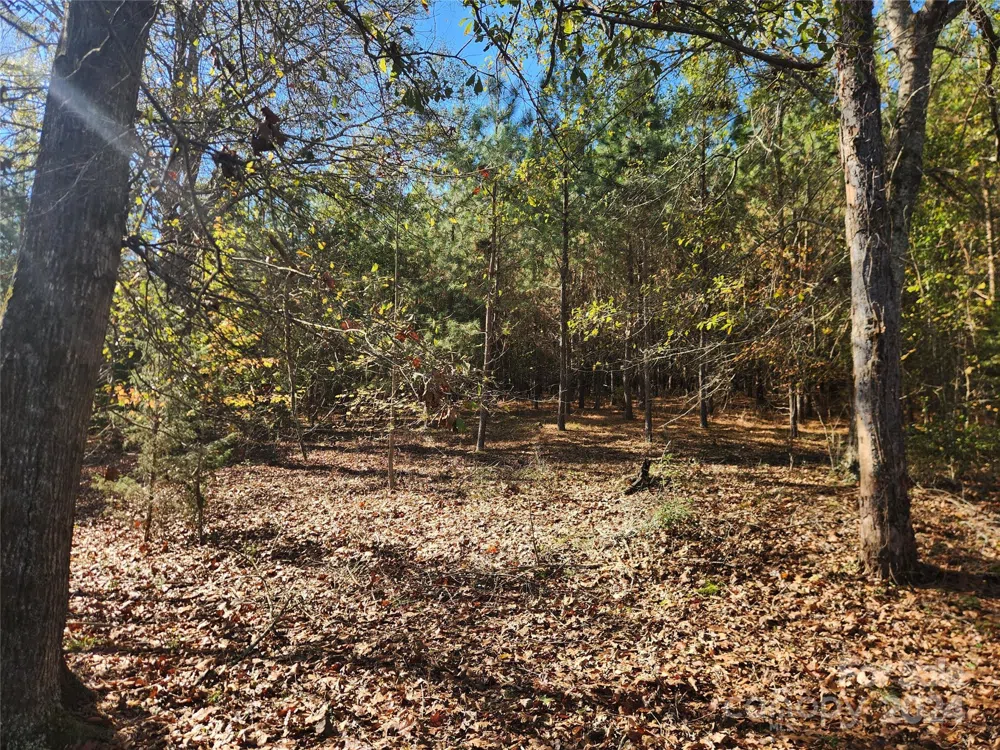 451 Low Bridge Road Forest City, NC 28043