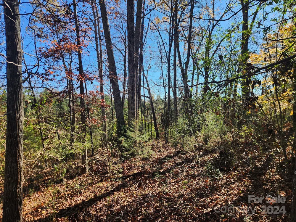 451 Low Bridge Road Forest City, NC 28043