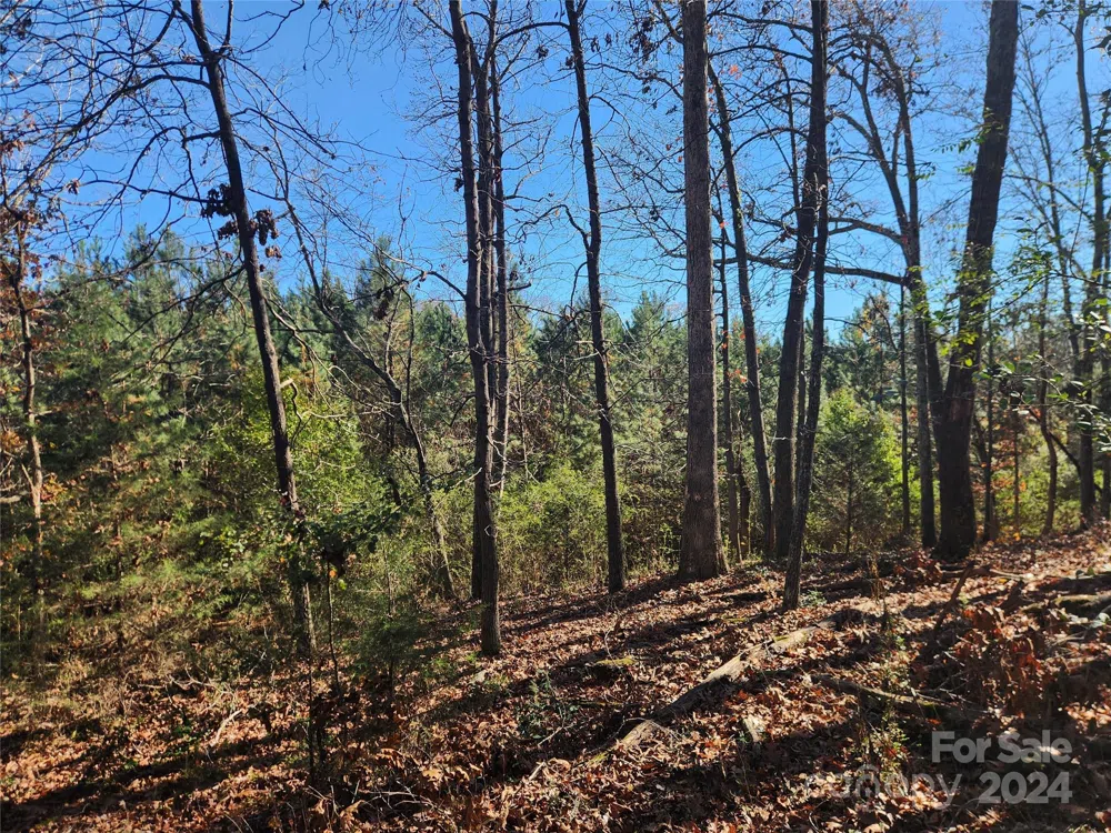 451 Low Bridge Road Forest City, NC 28043