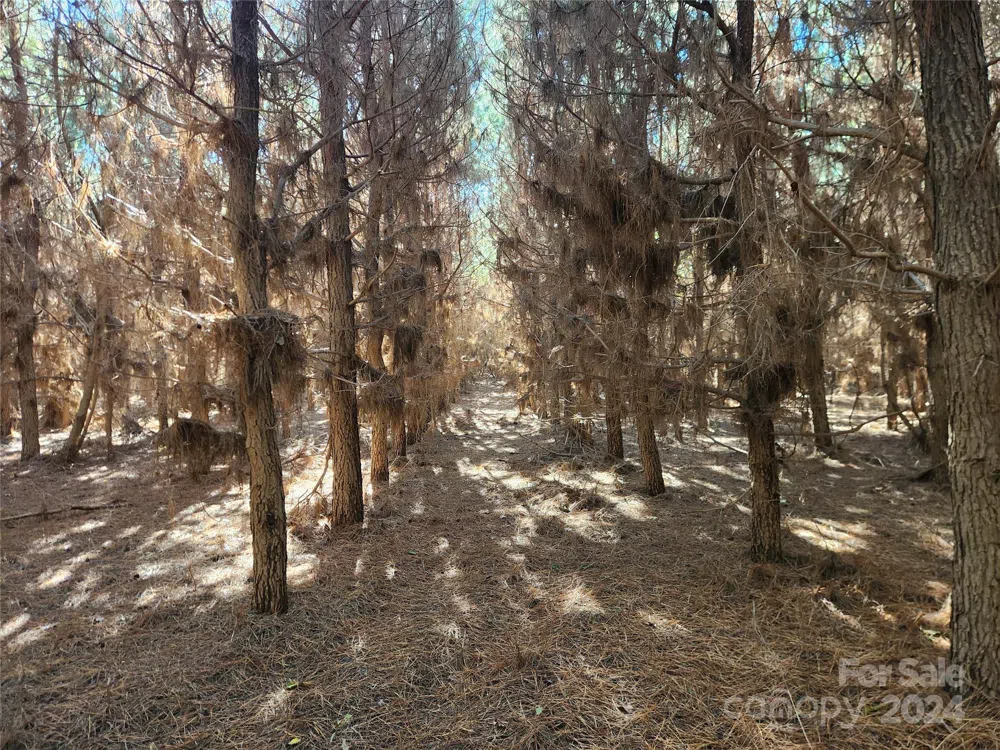 451 Low Bridge Road Forest City, NC 28043