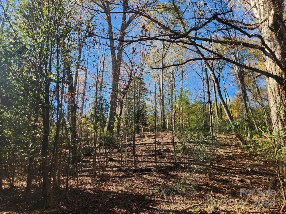 451 Low Bridge Road Forest City, NC 28043