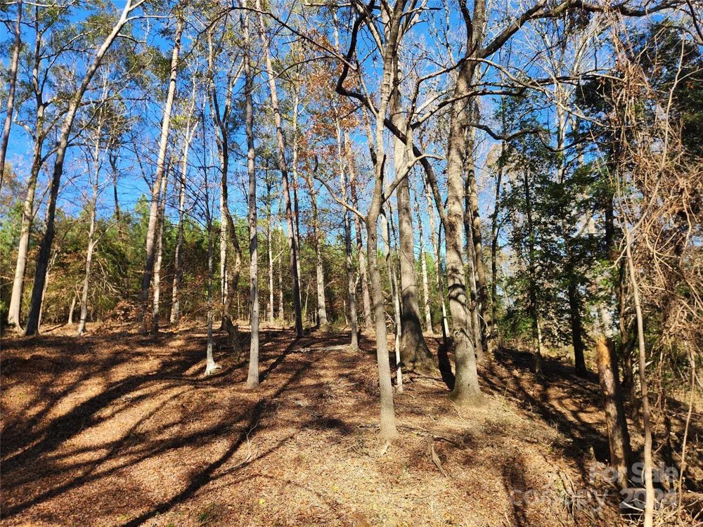 451 Low Bridge Road Forest City, NC 28043