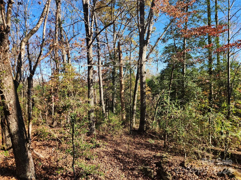 451 Low Bridge Road Forest City, NC 28043