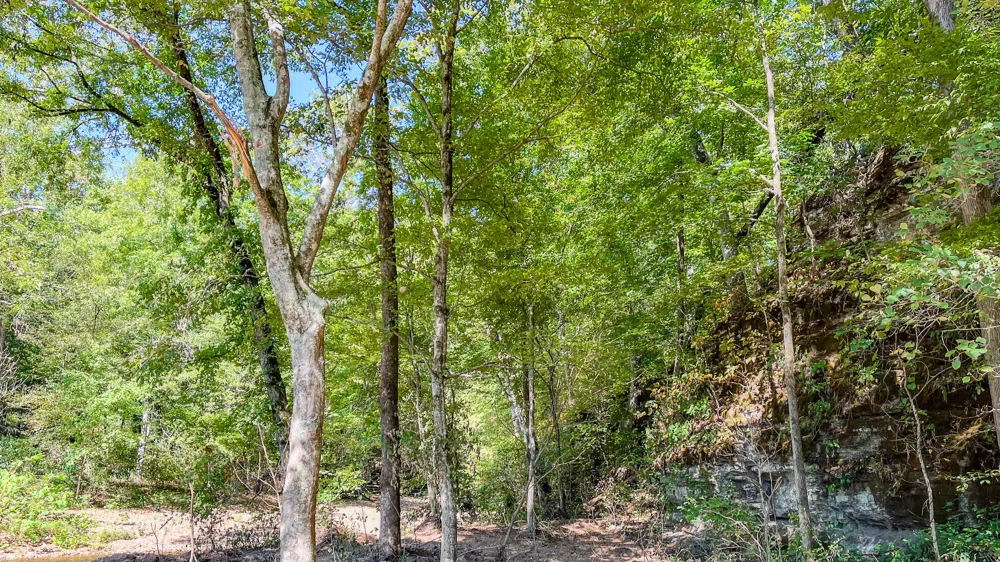 0 Hurricane Road SE Stewart, TN 37175