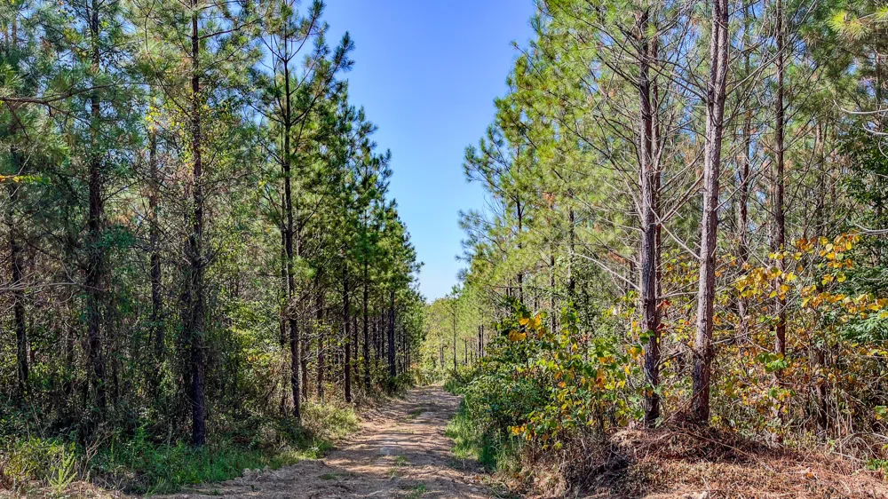 0 Hurricane Road SE Stewart, TN 37175