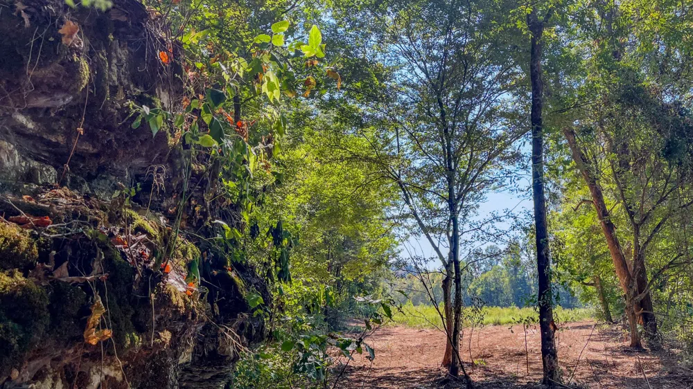 0 Hurricane Road SE Stewart, TN 37175
