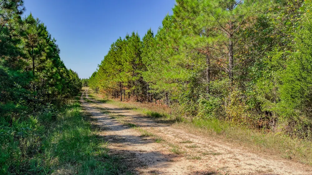 0 Hurricane Road SE Stewart, TN 37175