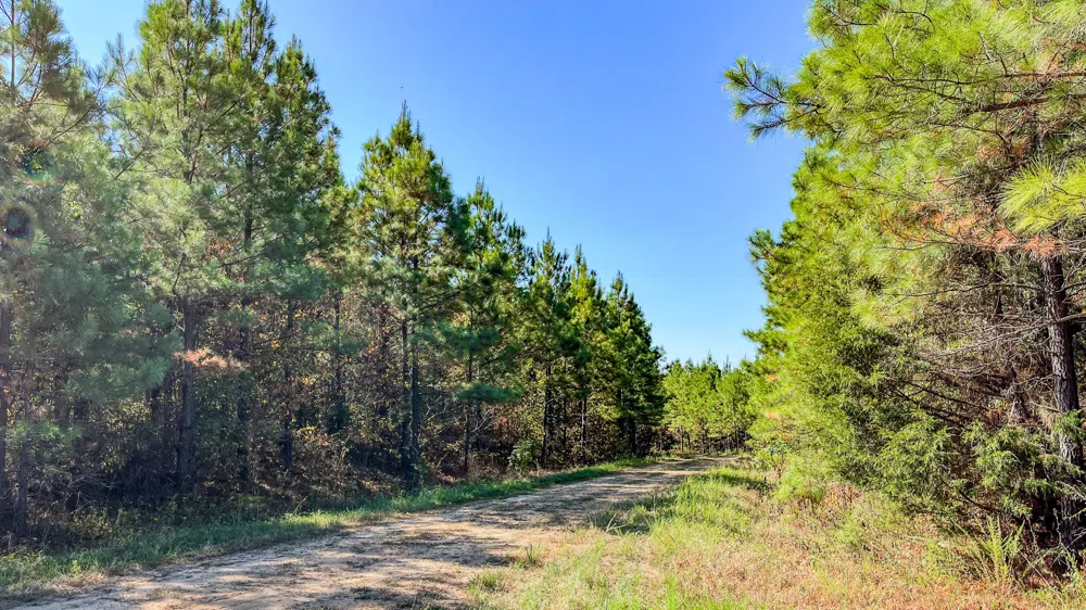 0 Hurricane Road SE Stewart, TN 37175