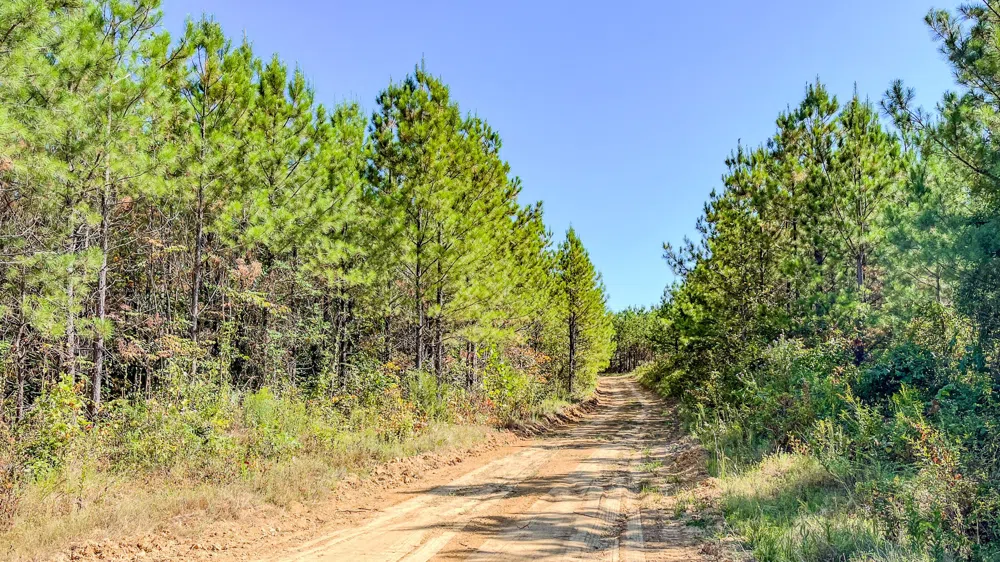 0 Hurricane Road SE Stewart, TN 37175