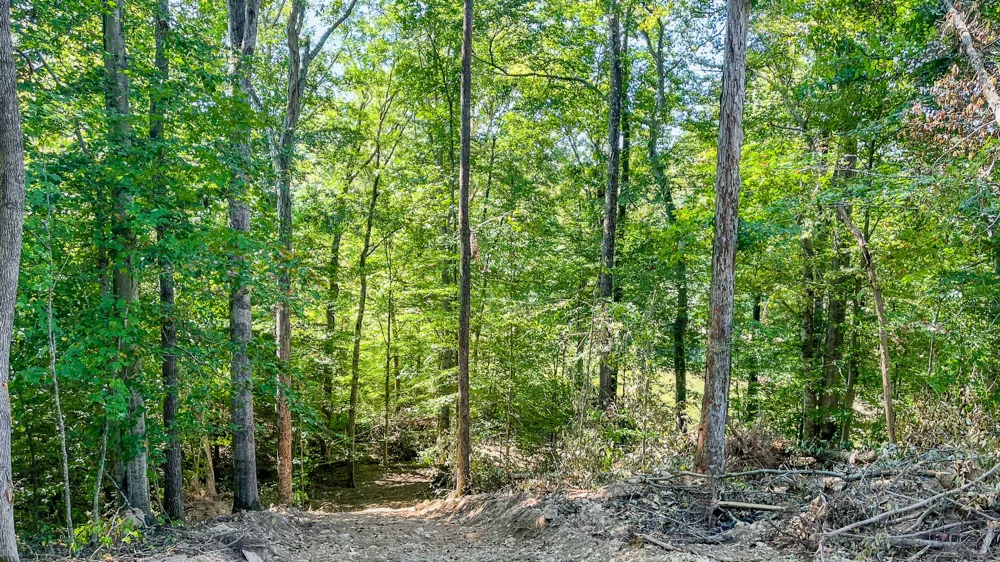 0 Hurricane Road SE Stewart, TN 37175