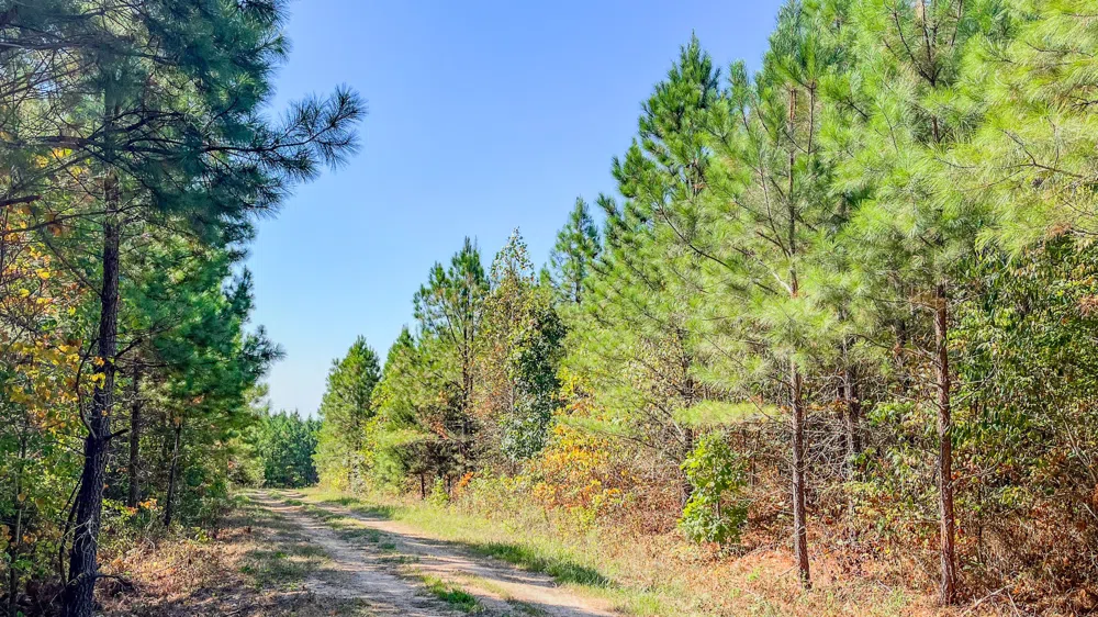 0 Hurricane Road SE Stewart, TN 37175