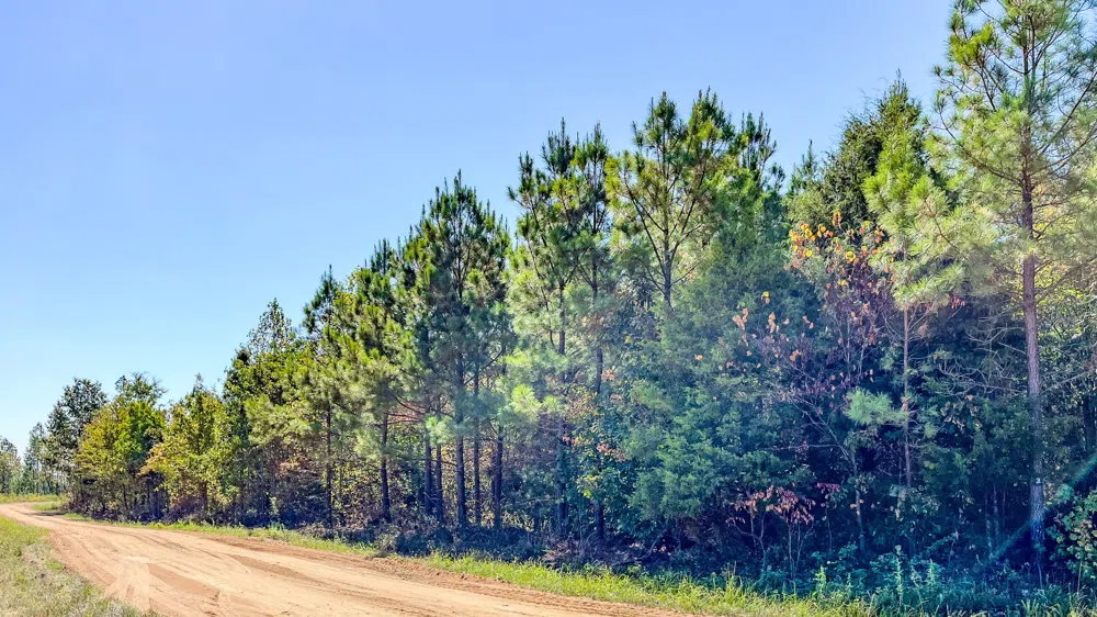 0 Hurricane Road SE Stewart, TN 37175