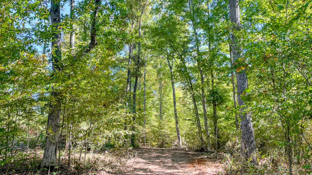 0 Hurricane Road SE Stewart, TN 37175