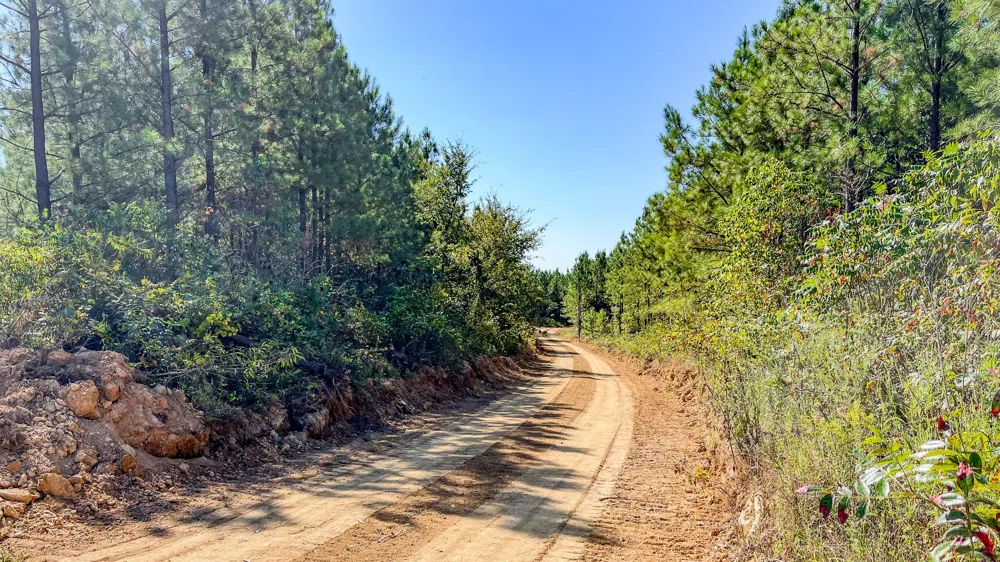 0 Hurricane Road SE Stewart, TN 37175