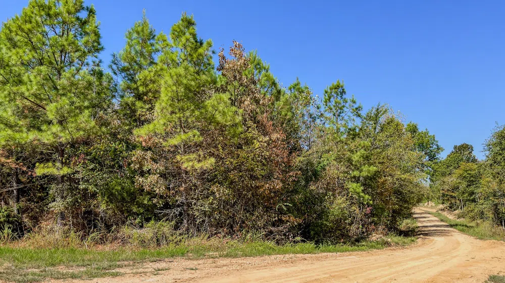 0 Hurricane Road SE Stewart, TN 37175