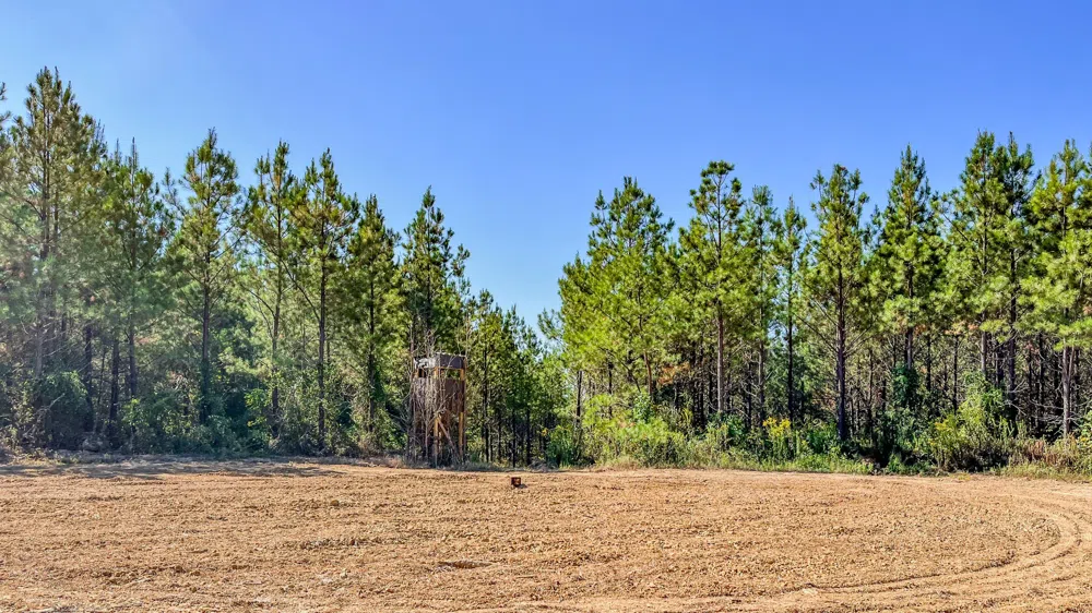 0 Hurricane Road SE Stewart, TN 37175