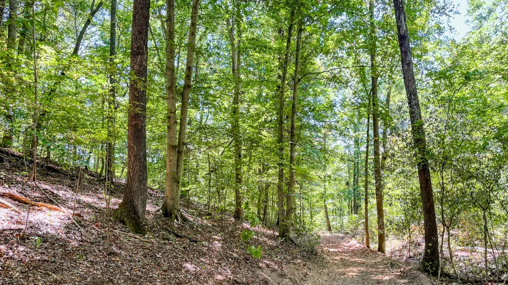 0 Hurricane Road SE Stewart, TN 37175