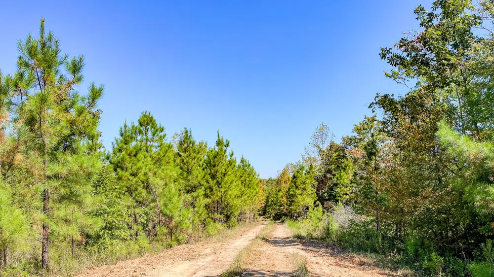 0 Hurricane Road SE Stewart, TN 37175