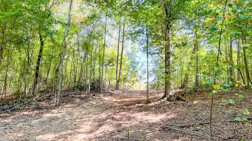 0 Hurricane Road SE Stewart, TN 37175
