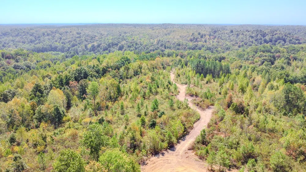 0 Hurricane Road SE Stewart, TN 37175