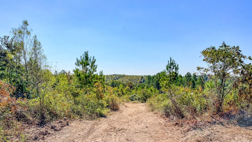 0 Hurricane Road SE Stewart, TN 37175