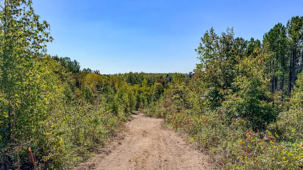 0 Hurricane Road SE Stewart, TN 37175