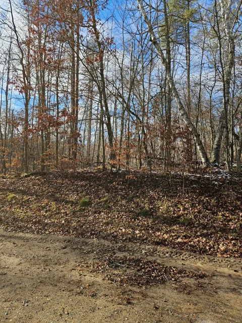 Lot 1 Raccoon Lane