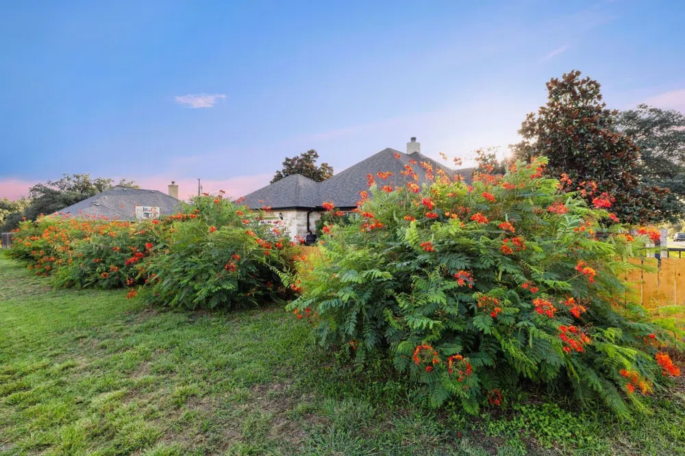 115 W Bluebriar Drive Marble Falls, TX 78654