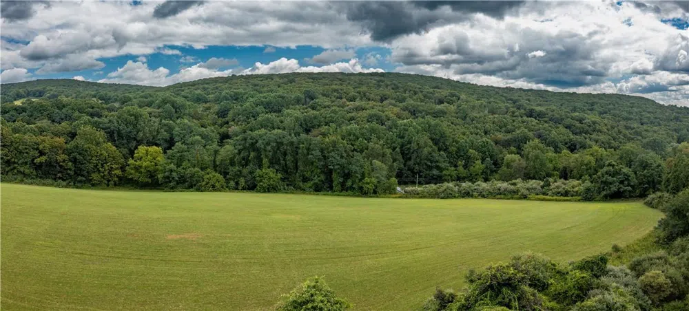 245 Birch Hill Road Patterson, NY 12563