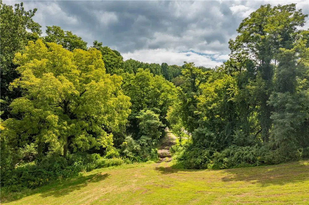 245 Birch Hill Road Patterson, NY 12563