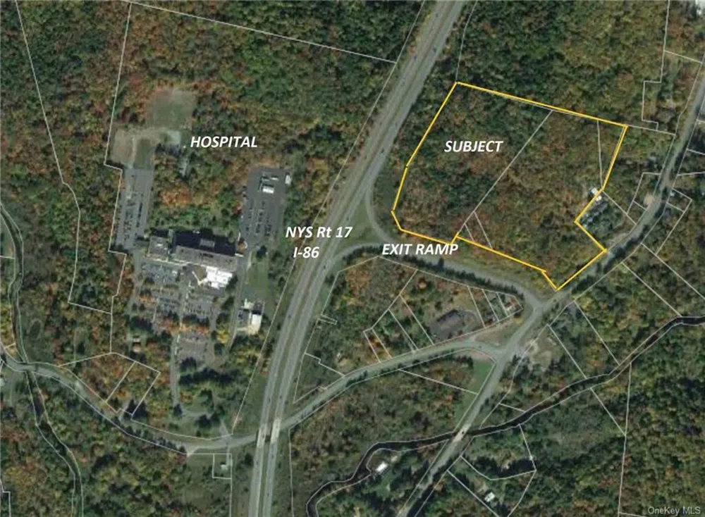 NYS Rt 17 and Old Rt 17 Harris, NY 12742