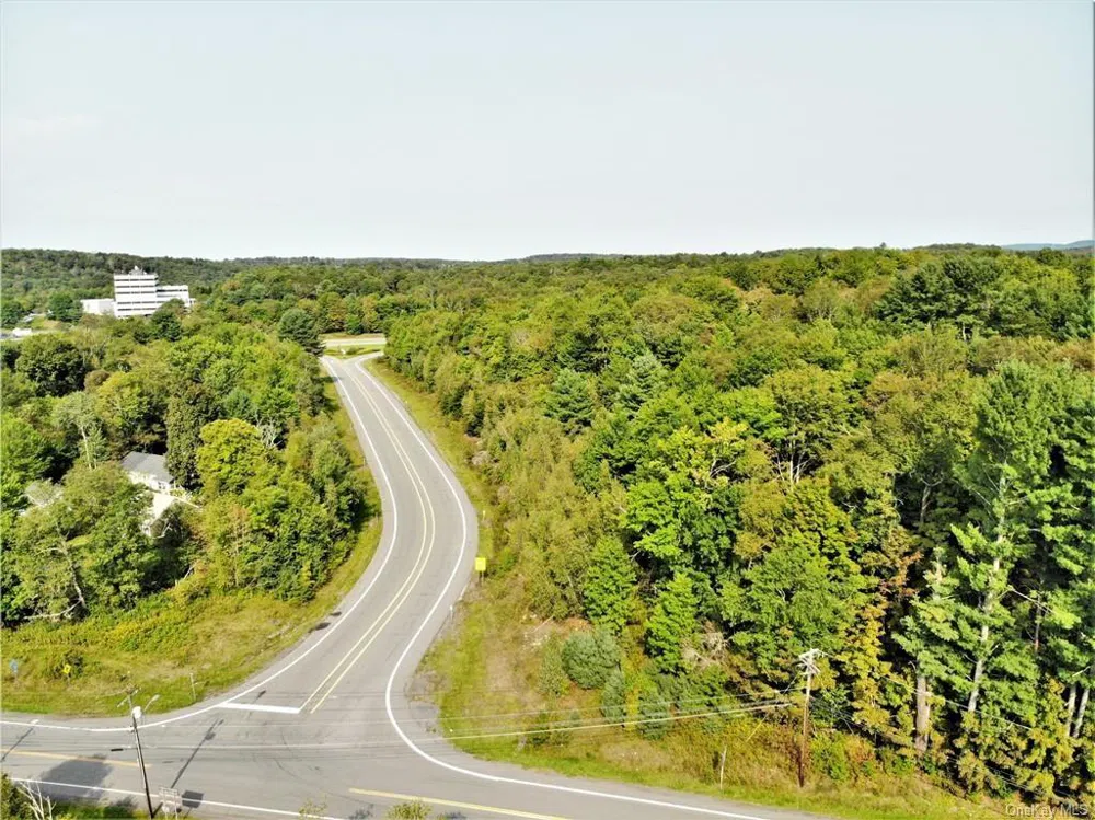 NYS Rt 17 and Old Rt 17 Harris, NY 12742