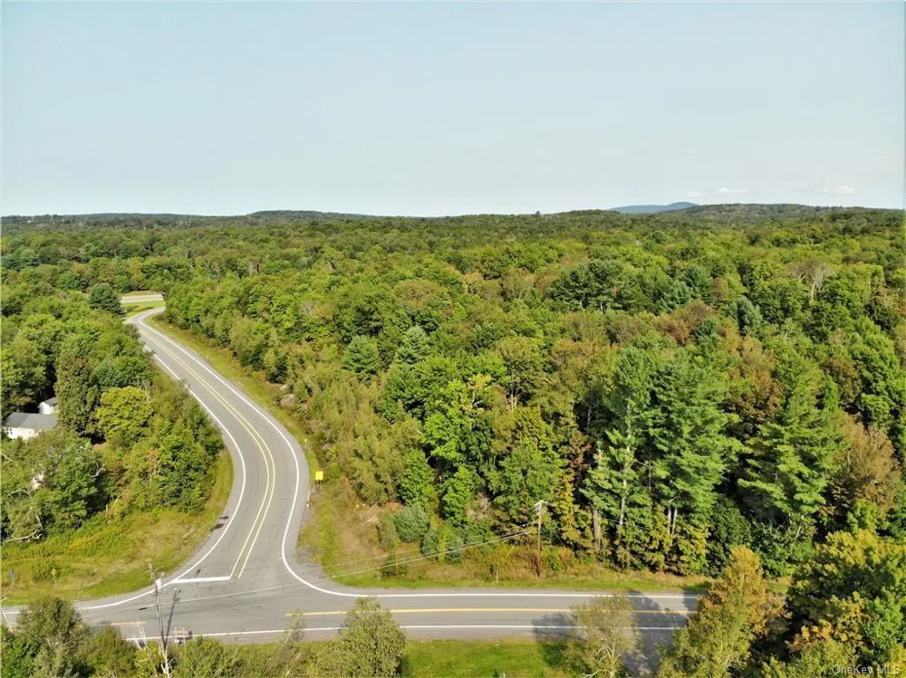NYS Rt 17 and Old Rt 17 Harris, NY 12742