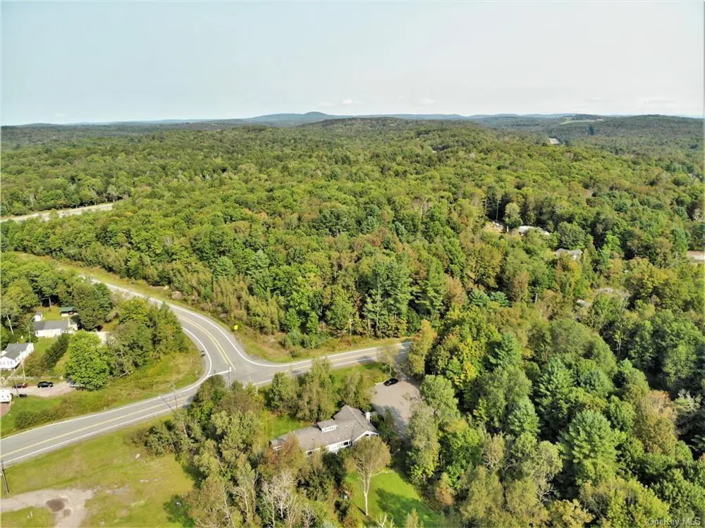 NYS Rt 17 and Old Rt 17 Harris, NY 12742