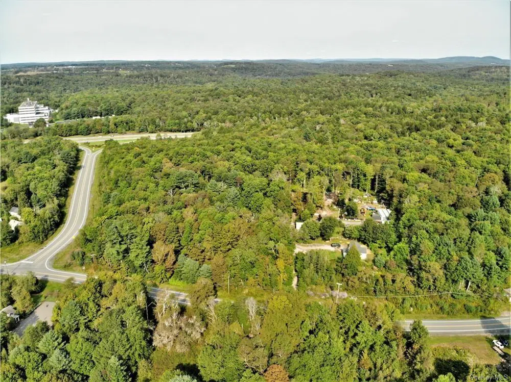 NYS Rt 17 and Old Rt 17 Harris, NY 12742