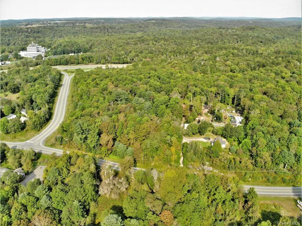 NYS Rt 17 and Old Rt 17 Harris, NY 12742