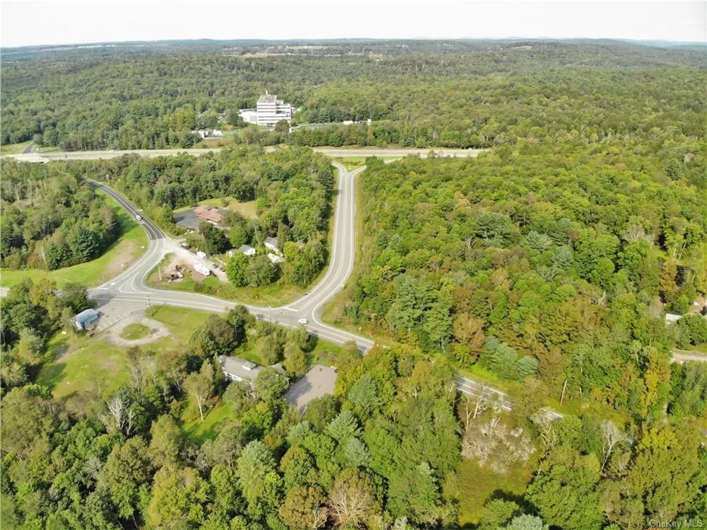 NYS Rt 17 and Old Rt 17 Harris, NY 12742