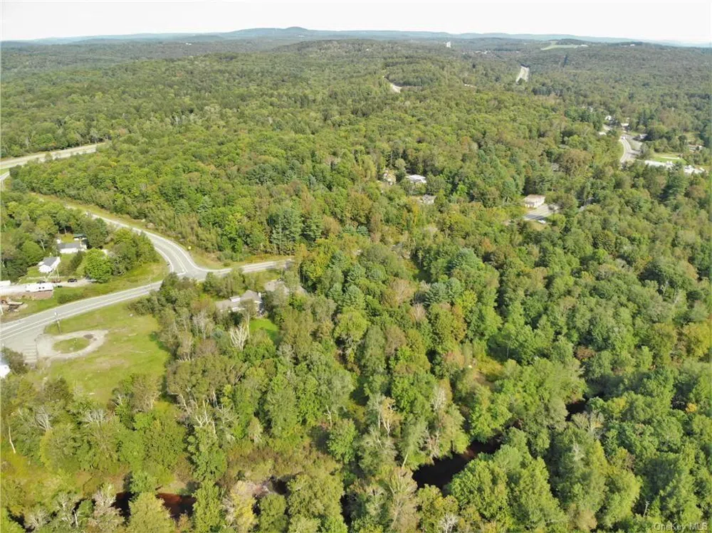 NYS Rt 17 and Old Rt 17 Harris, NY 12742