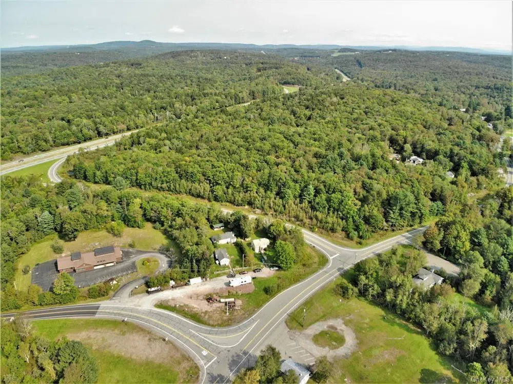NYS Rt 17 and Old Rt 17 Harris, NY 12742