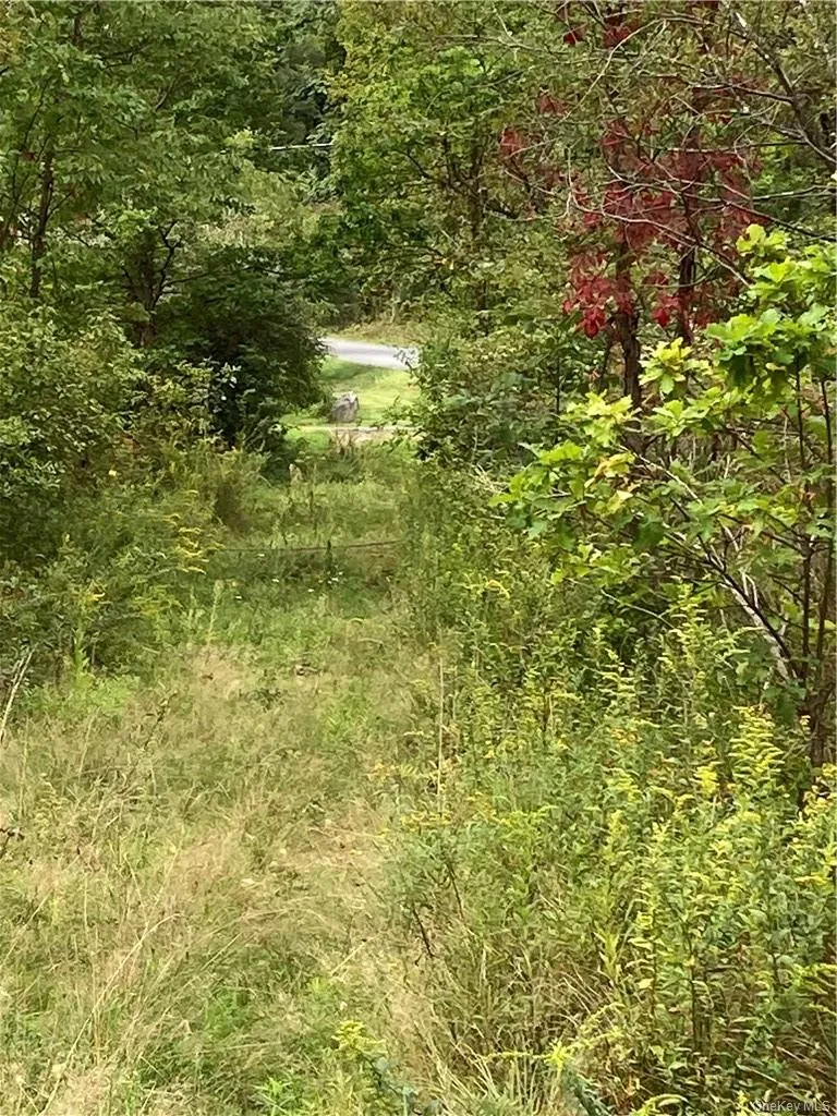 Logtown Road Port Jervis, NY 12771