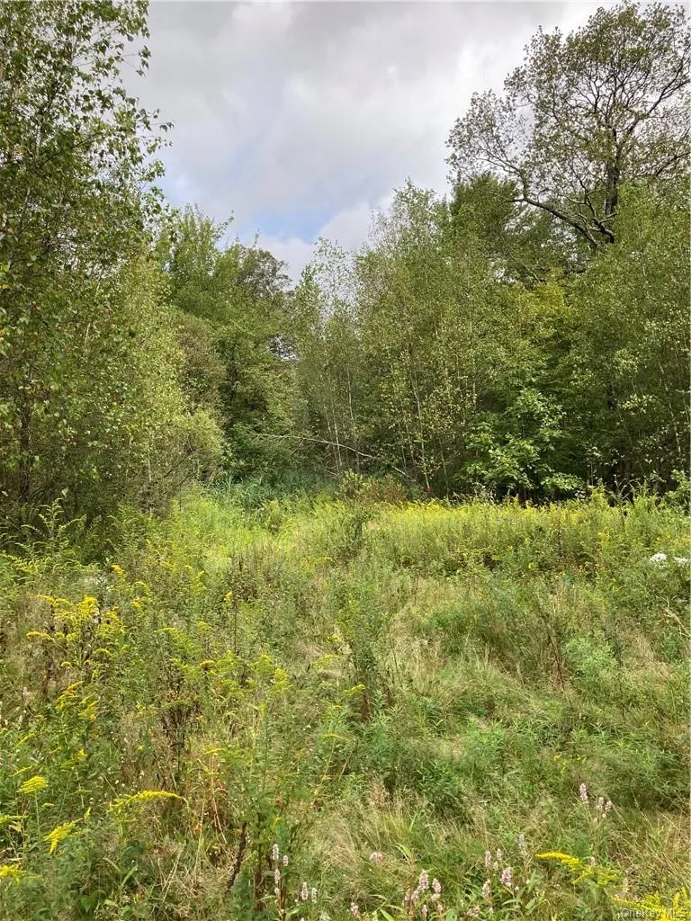 Logtown Road Port Jervis, NY 12771