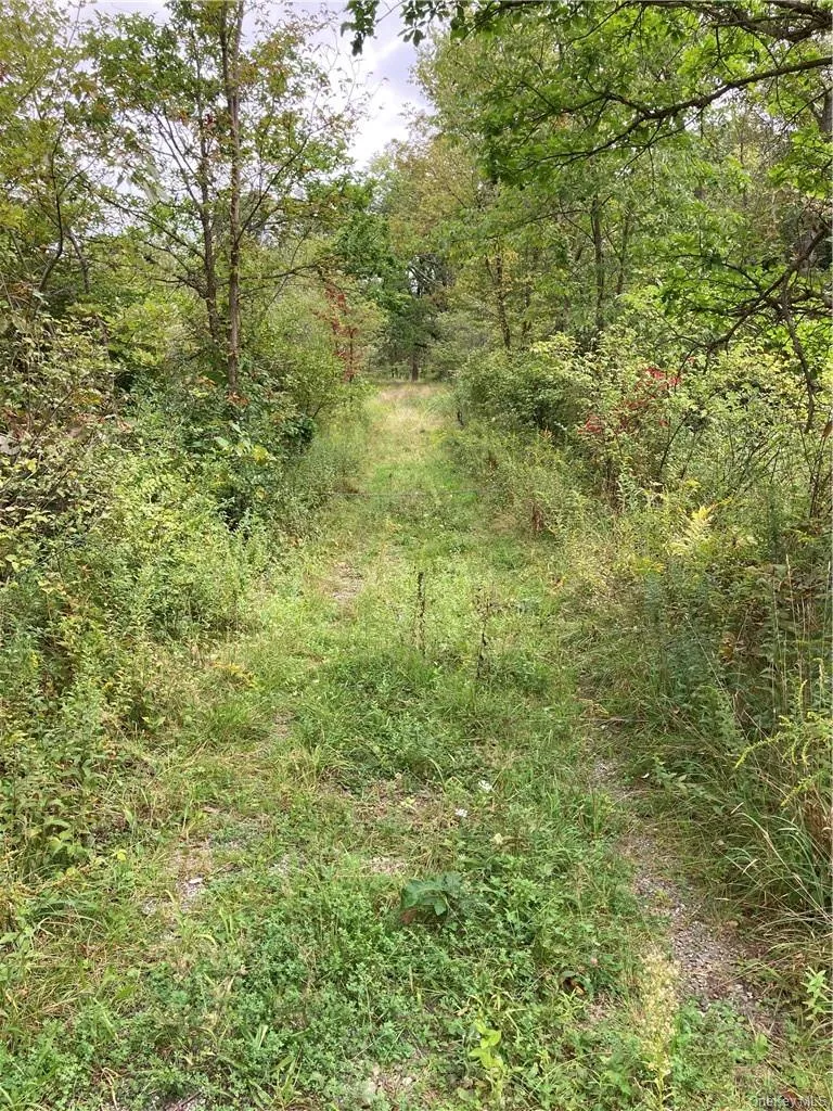 Logtown Road Port Jervis, NY 12771