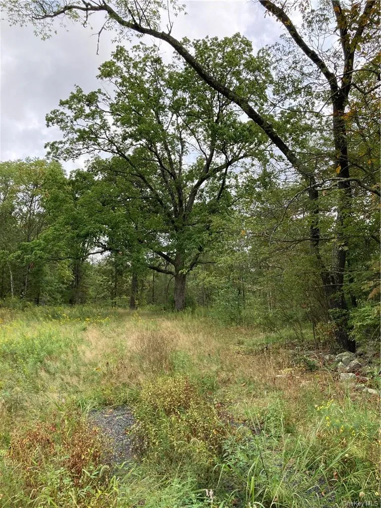 Logtown Road Port Jervis, NY 12771