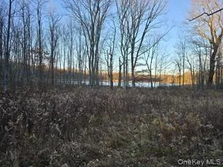 Logtown Road Port Jervis, NY 12771