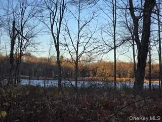 Logtown Road Port Jervis, NY 12771