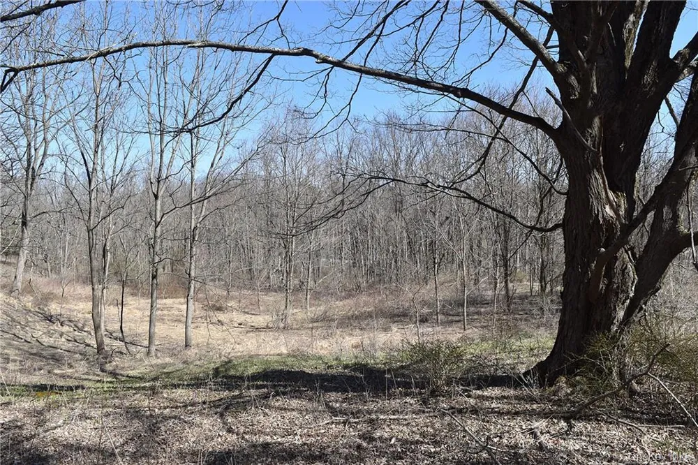 79-85 Miller Road Rhinebeck, NY 12572