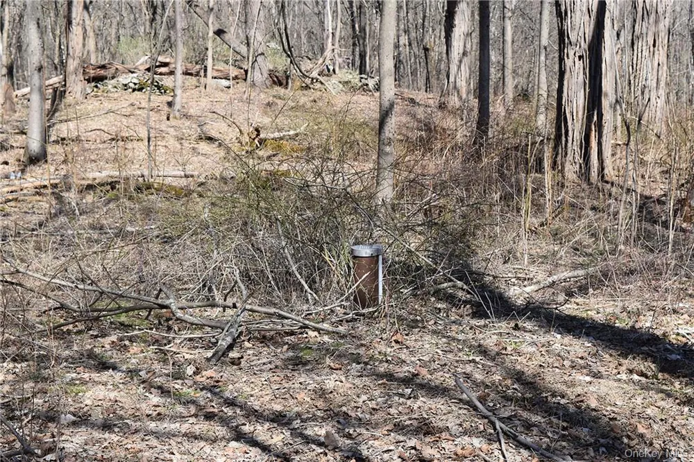 79-85 Miller Road Rhinebeck, NY 12572