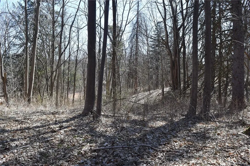 79-85 Miller Road Rhinebeck, NY 12572