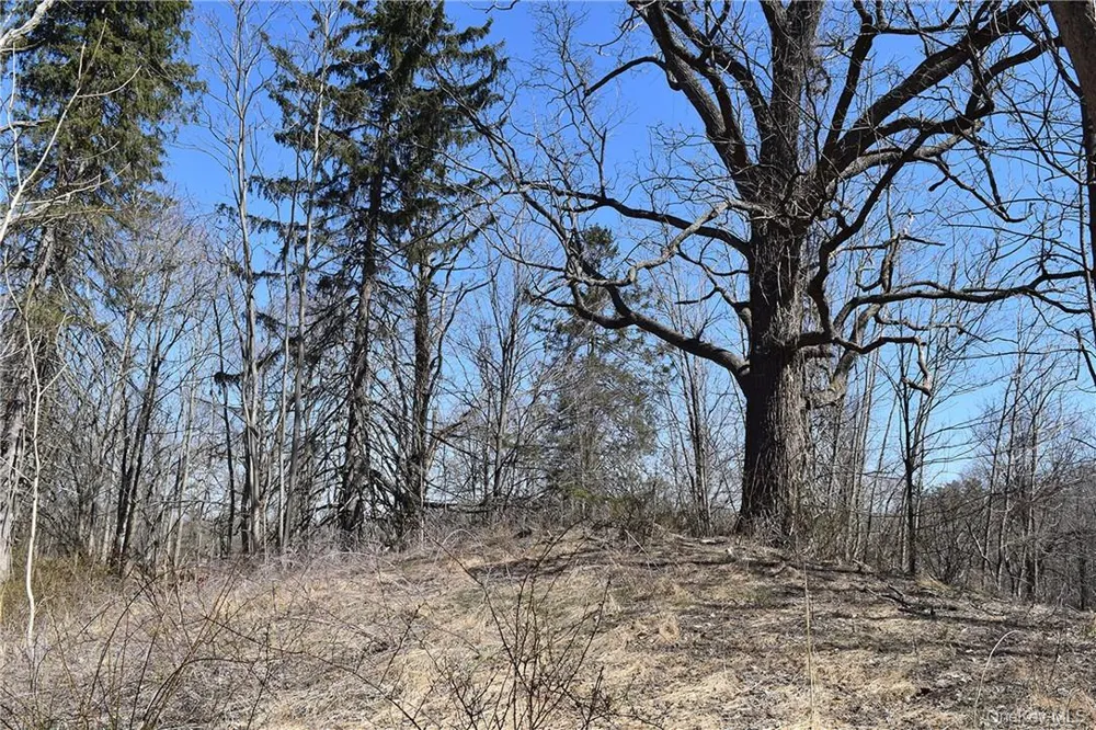 79-85 Miller Road Rhinebeck, NY 12572
